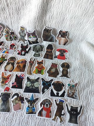 Pack 148 pegatinas Tom&Jerry animal viajes disney