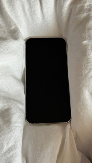 iPhone 14 Pro Max Plata
