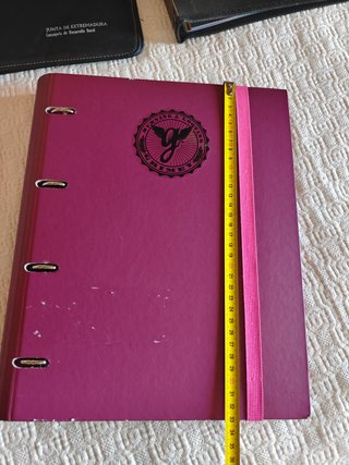 Archivadores carpetas organizadores folios
