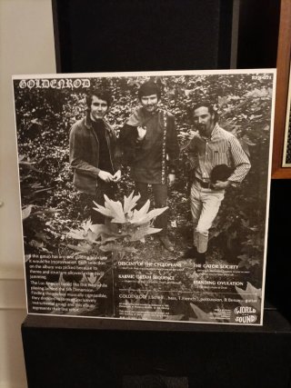 Vinilo Goldenrod