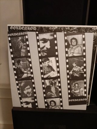 Vinilo Goldenrod