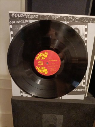 Vinilo Goldenrod