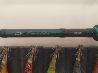 Caña Daiwa y carrete Shimano Eging