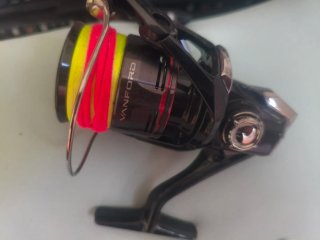 Caña Daiwa y carrete Shimano Eging