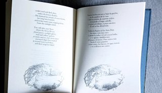 1°Edición 2008, Aventuras de Tom Bombadil, Tolkien