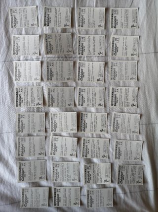 Figurine Calciatori Panini 1998-1999