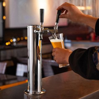 Kit de Torre de Kegerator, Kit de Conversión de Cerveza de Doble Grifo, Dispensador de Torre de Cerveza de Acero Inoxidable con Regulador de Doble Medida W21.8 y Acoplador de Barril S-System para ...
