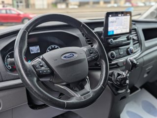 Ford Transit Trail 2.0EcoBlue Mhev Etiqueta ECO