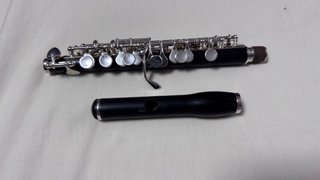 Flautín Piccolo Jupiter JPC 1100E
