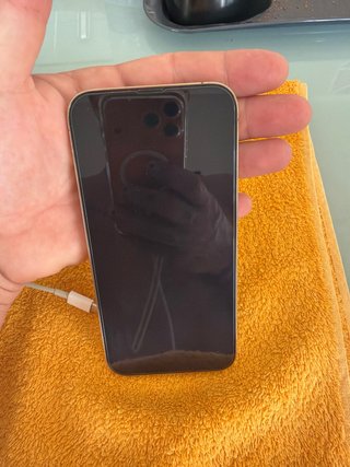 iPhone 13 Pro Max Oro