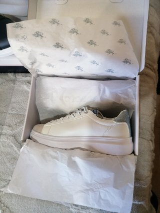 90€ U.S. Polo Assn. americanos + regalo