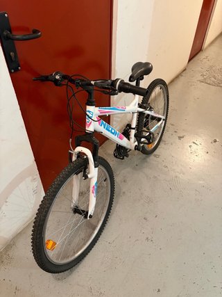 Bicicleta infantil niña y para adulto mujer
