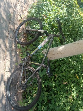Bicicleta Orbea Raptor