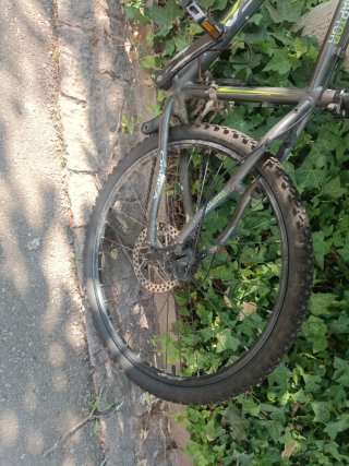 Bicicleta Orbea Raptor