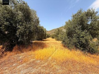 Solar en venta en Padul