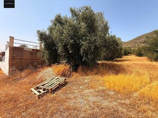 Solar en venta en Padul