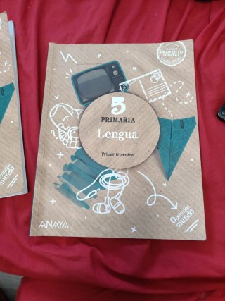 Libros lengua CEIP Punta Larga 5°primaria