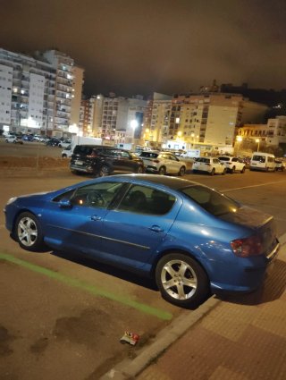 Peugeot 407 2004