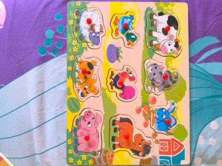5 Puzzles de madera