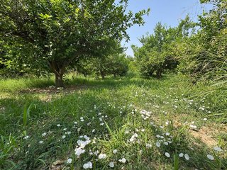 Terreno en venta en Puente Tocinos en Murcia