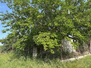 Terreno en venta en Puente Tocinos en Murcia