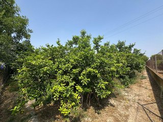 Terreno en venta en Puente Tocinos en Murcia