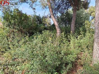Terreno en venta en Costa Cunit - Els Jardins - Els  Rosers en Cunit