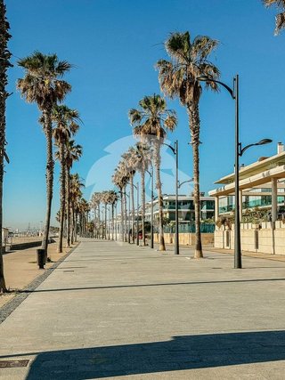 Local comercial en alquiler en La Malva-rosa en Valencia