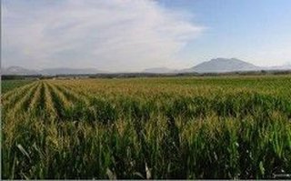 Piso en venta en La Zubia en Zubia (La)
