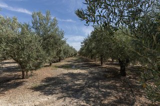 Terreno en venta en Santa Fe