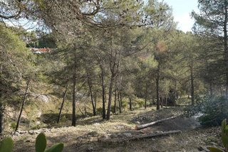 Terreno en venta en Olesa de Bonesvalls