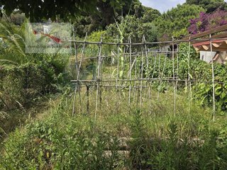 Chalet en venta en Roca Grossa - Serra Brava en Lloret de Mar