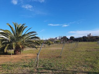 Terreno en venta en Santa Margarida i els Monjos