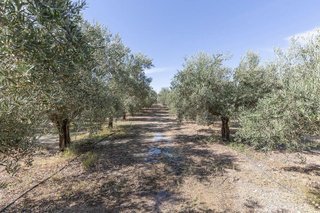 Terreno en venta en Santa Fe