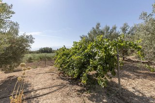 Terreno en venta en Santa Fe