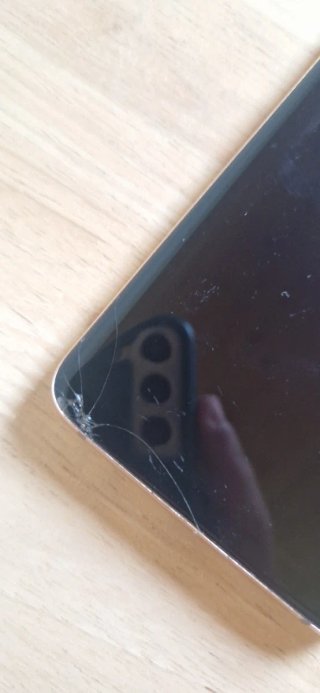 Samsung Galaxy S9 Plus Dorato