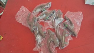 8 Manillas para puertas/ventanas Unidad 5.50