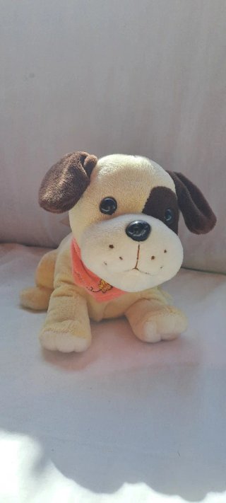 Muñeco Musical Rockero y Perrito por 5 cada uno