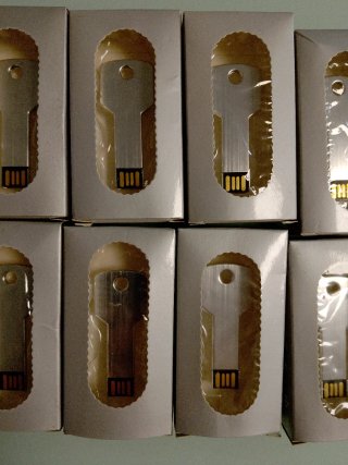 Lote 10 Pendrives 8GB Llave