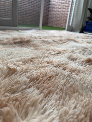 Alfombra Pelo Largo 155x210 cm Beige Crema