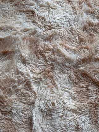 Alfombra Pelo Largo 155x210 cm Beige Crema