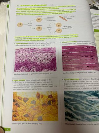 Biología, Geología y Ciencias Ambientales. 1 Ba...