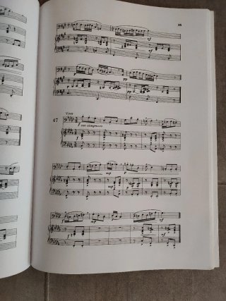 Técnica básica de lenguaje musical grado medio.