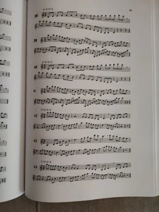 Técnica básica de lenguaje musical grado medio.