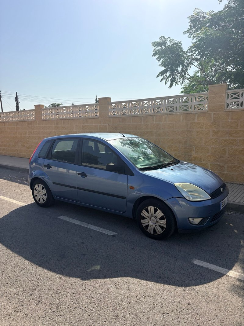 Ford Fiesta 2003 - foto 1