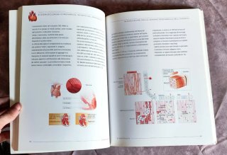 Libro Medico "Cuore e Vasi - Atlante Illustrato