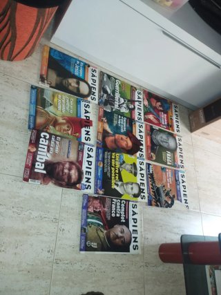 Lote de 10 revistas Sapiens