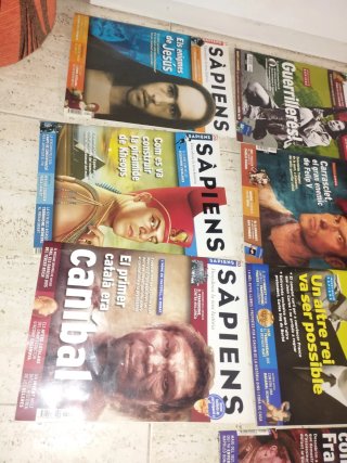 Lote de 10 revistas Sapiens