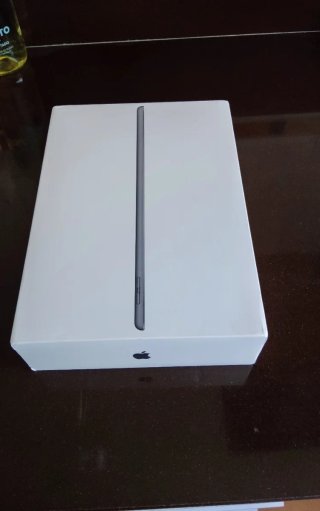 iPad 7ª Gen