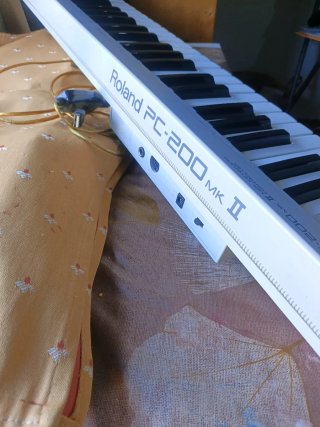 Roland PC-200 MK II Teclado MIDI